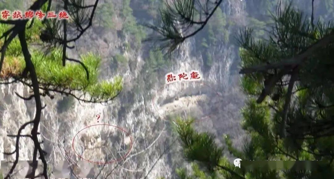 A股药明康德跌停,公司就“美国生物安全法草案”发布澄清公告